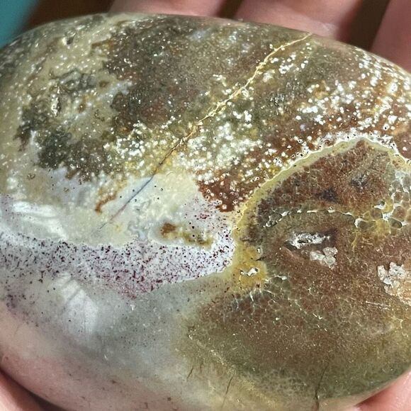 Ocean Jasper palm stone crystal natural orbicular orbs green white red yellow br - Picture 8 of 10